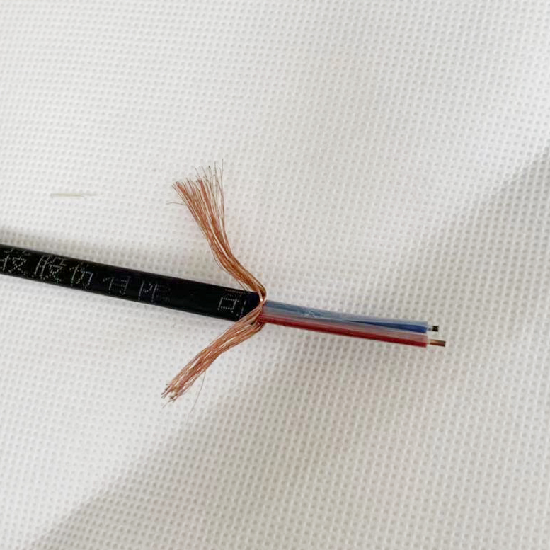 補(bǔ)償導(dǎo)線KCP2x1.0