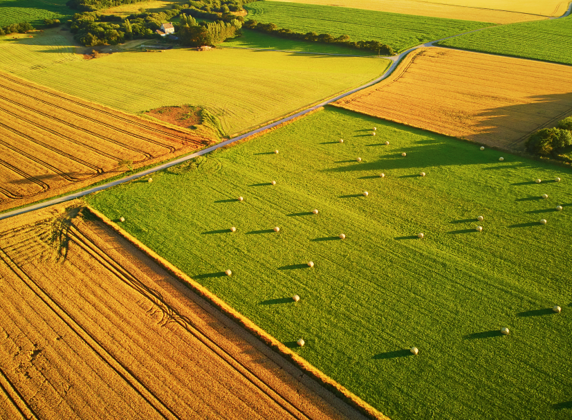 草地覆蓋、災(zāi)害、退化監(jiān)測