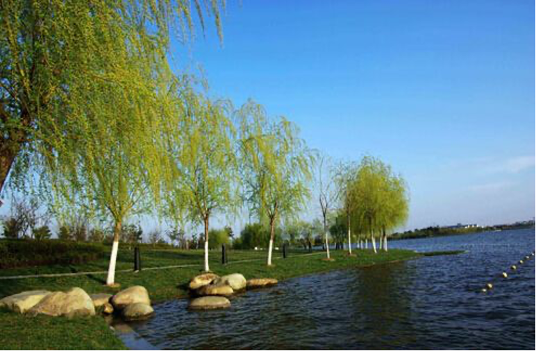 水質指紋留證追查污染源